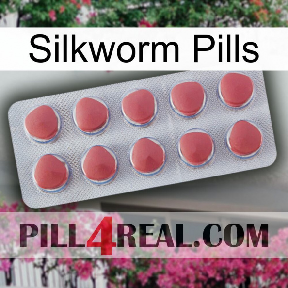 Silkworm Pills 18.jpg